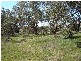 Lot 267 Hill Street, Molong NSW 2866