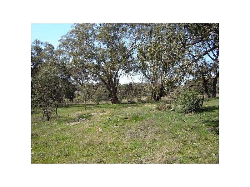 Lot 267 Hill Street, Molong NSW 2866