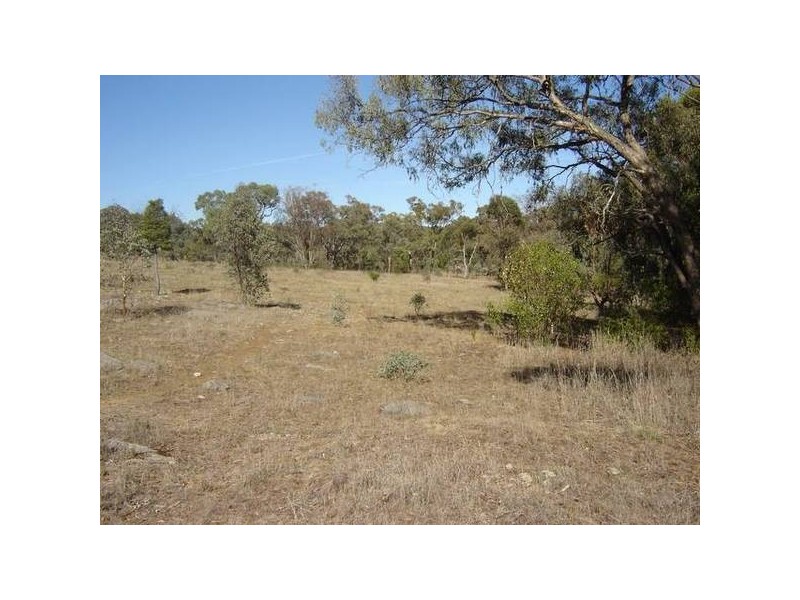 Lot 267 Hill Street, Molong NSW 2866