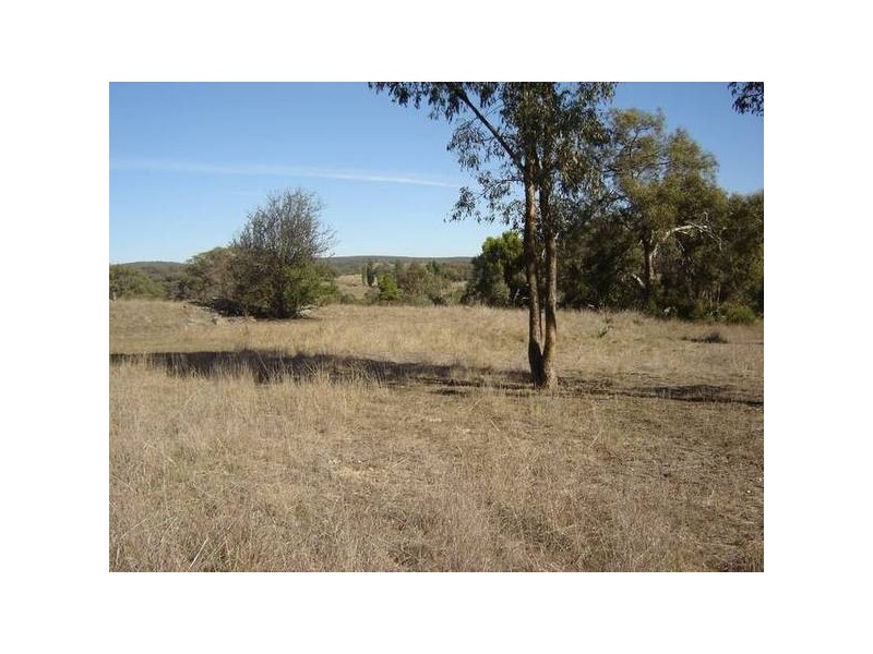 Lot 267 Hill Street, Molong NSW 2866