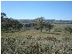 296 Village Rd (Newbridge), Newbridge NSW 2795