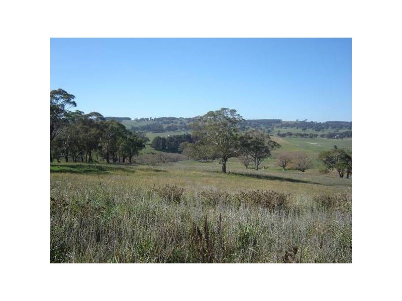 296 Village Rd (Newbridge), Newbridge NSW 2795