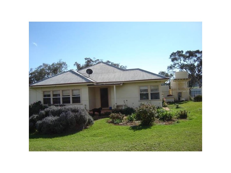 Eurimbla Road, Molong NSW 2866