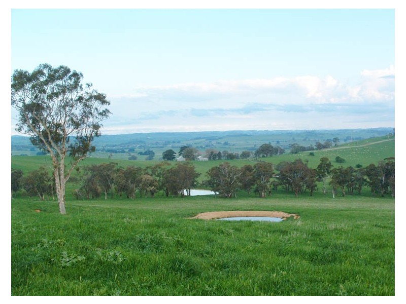 Neville Road, Orange NSW 2800