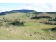 Neville Road, Orange NSW 2800