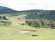 Neville Road, Orange NSW 2800