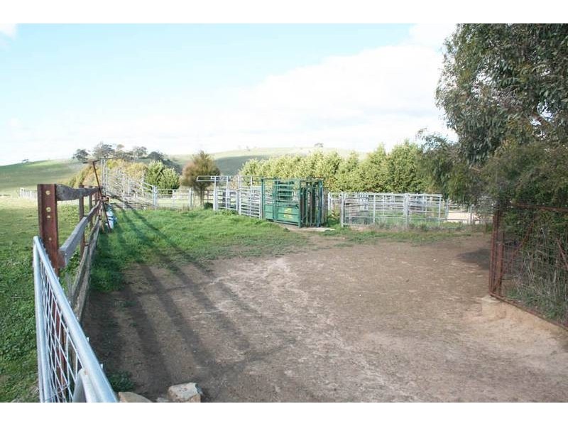 Neville Road, Orange NSW 2800