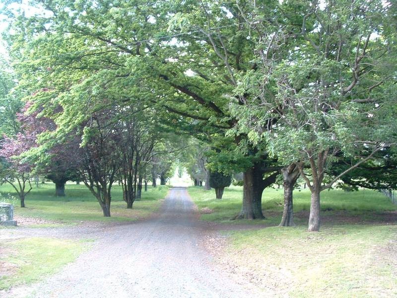 Neville Road, Orange NSW 2800
