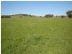 Lot 206 Beri, Euchareena Road, Molong NSW 2866