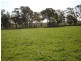 Lot 206 Beri, Euchareena Road, Molong NSW 2866