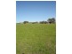 Lot 206 Beri, Euchareena Road, Molong NSW 2866