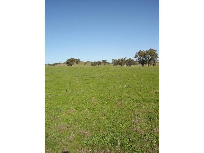 Lot 206 Beri, Euchareena Road, Molong NSW 2866