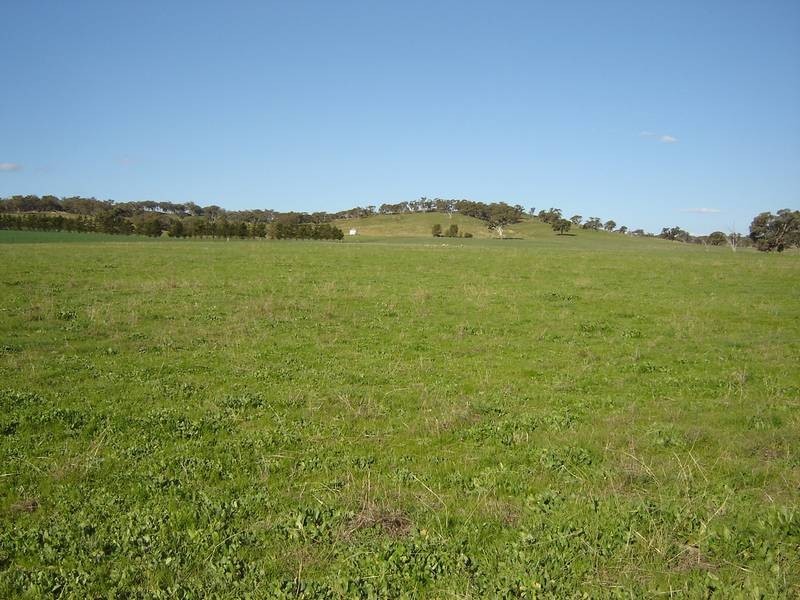 Lot 206 Beri, Euchareena Road, Molong NSW 2866