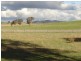 Lot 206 Beri, Euchareena Road, Molong NSW 2866