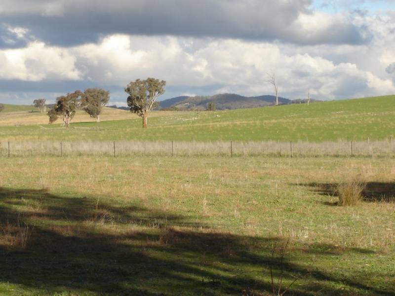 Lot 206 Beri, Euchareena Road, Molong NSW 2866