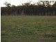 Lot 206 Beri, Euchareena Road, Molong NSW 2866