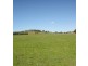 Lot 206 Beri, Euchareena Road, Molong NSW 2866