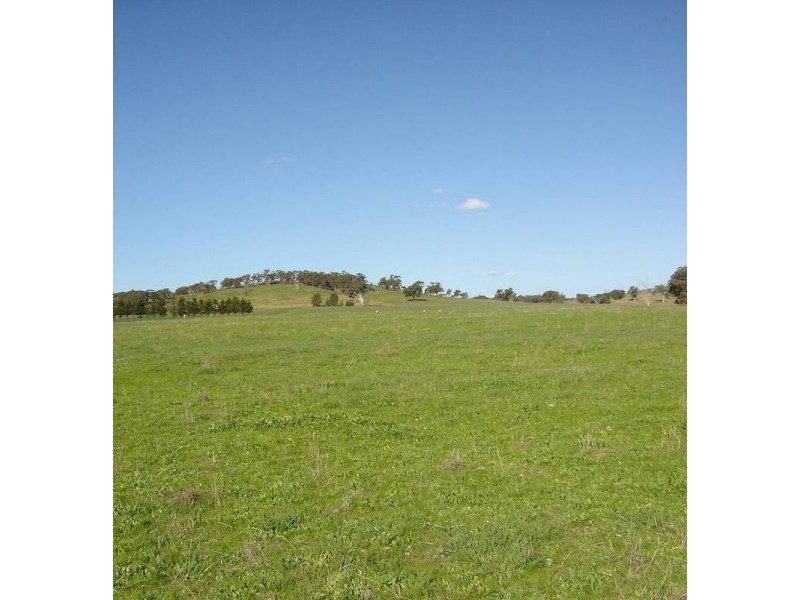 Lot 206 Beri, Euchareena Road, Molong NSW 2866