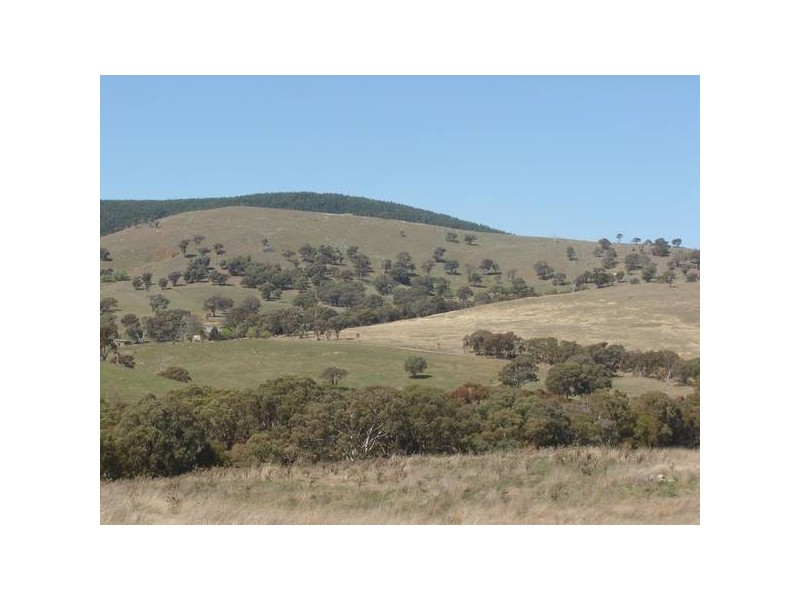 14 Mount Macquarie Road, Blayney NSW 2799