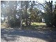 Loquat Street, Blayney NSW 2799