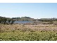 136 Ophir Road, Orange NSW 2800