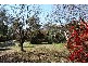 136 Ophir Road, Orange NSW 2800