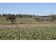 136 Ophir Road, Orange NSW 2800