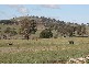 136 Ophir Road, Orange NSW 2800