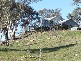 23 Euchareena Road, Molong NSW 2866