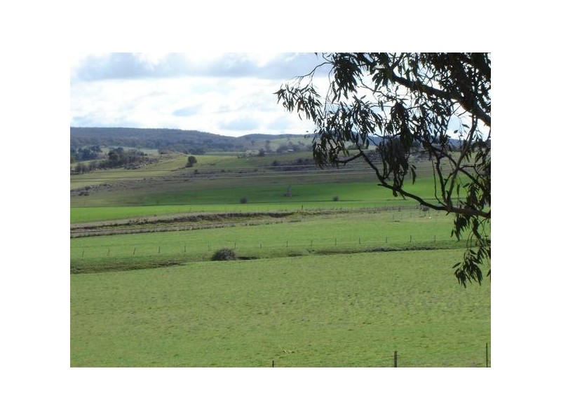 23 Euchareena Road, Molong NSW 2866
