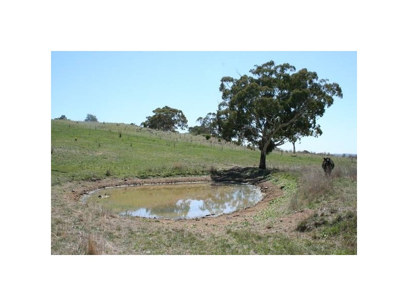 Icely Road, Orange NSW 2800