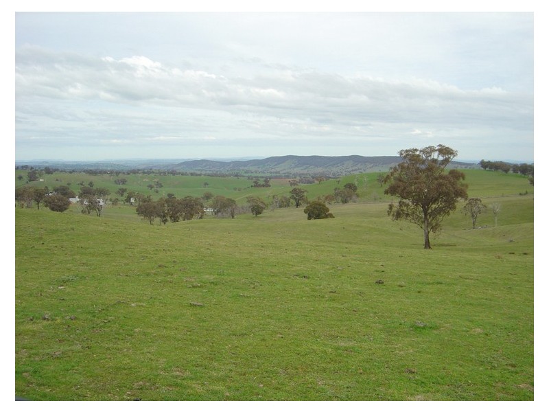 - Four Mile Creek Road, Orange NSW 2800
