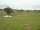 - Four Mile Creek Road, Orange NSW 2800