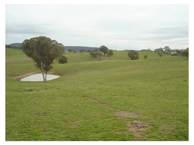 - Four Mile Creek Road, Orange NSW 2800