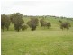 - Four Mile Creek Road, Orange NSW 2800