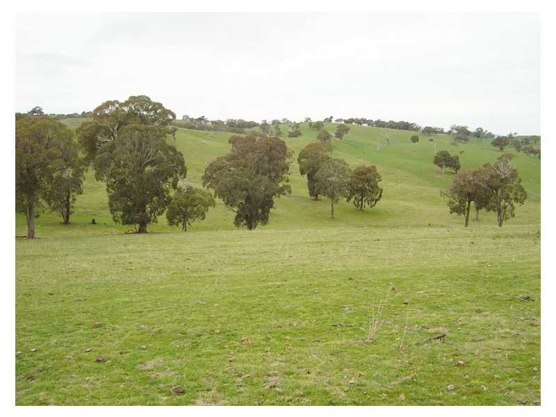 - Four Mile Creek Road, Orange NSW 2800