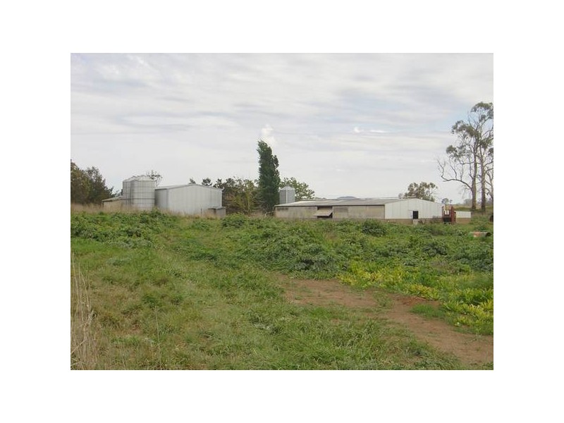 Cowriga Road, Orange NSW 2800
