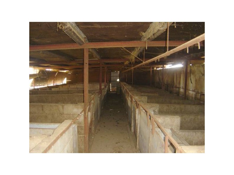 Cowriga Road, Orange NSW 2800