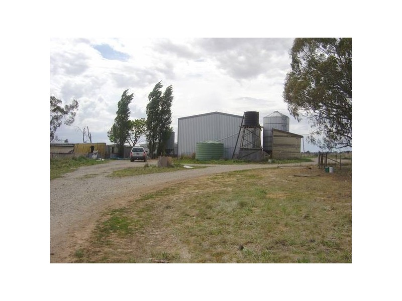 Cowriga Road, Orange NSW 2800