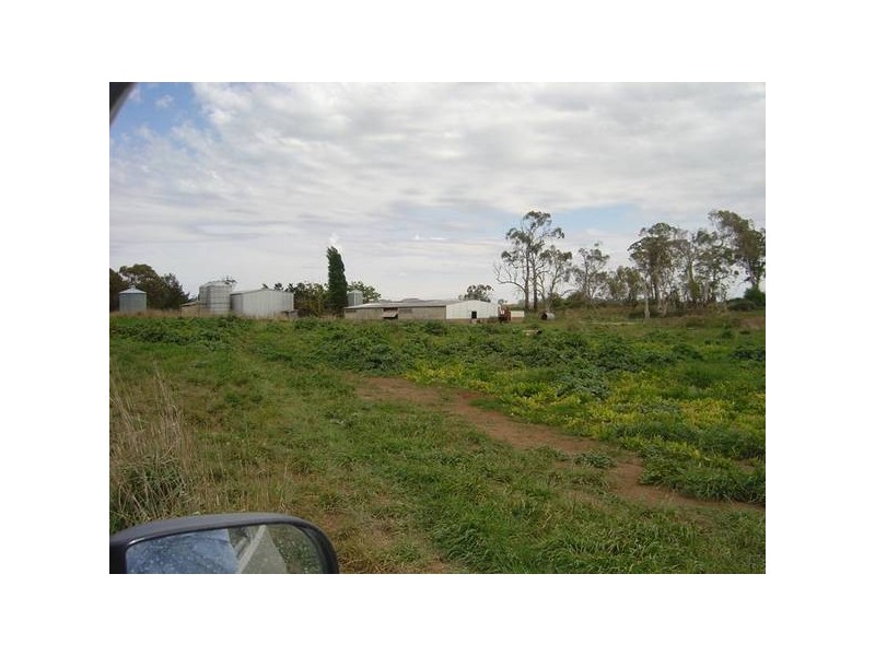Cowriga Road, Orange NSW 2800