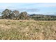 Curtins Lane, Orange NSW 2800