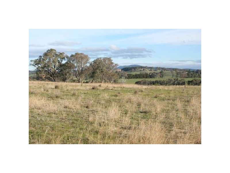 Curtins Lane, Orange NSW 2800