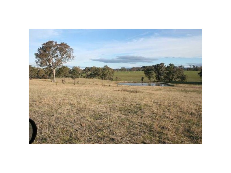 Curtins Lane, Orange NSW 2800