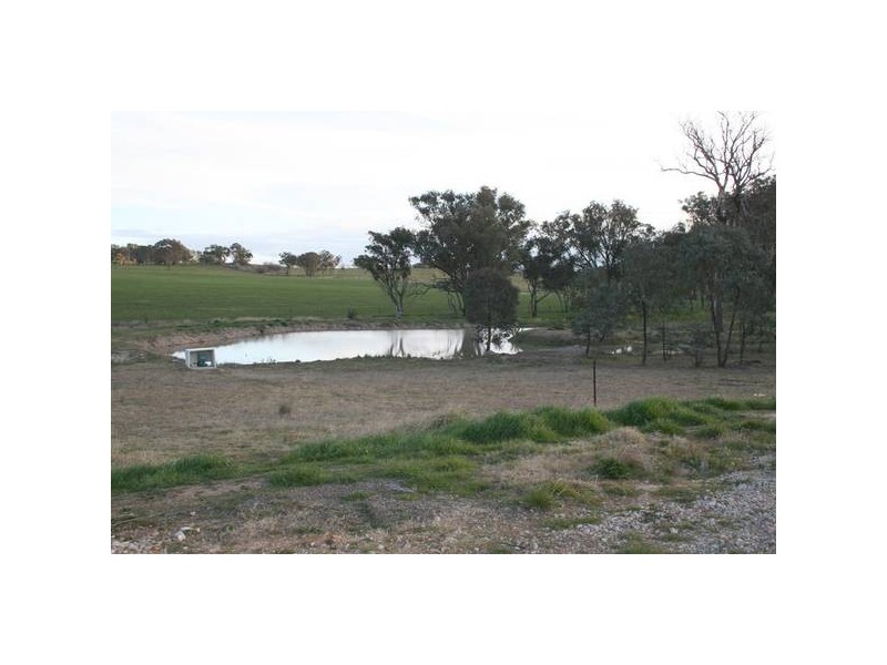 Curtins Lane, Orange NSW 2800
