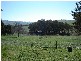20 Rothery Street (Carcoar), Blayney NSW 2799