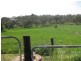 98 Manildra Road, Molong NSW 2866