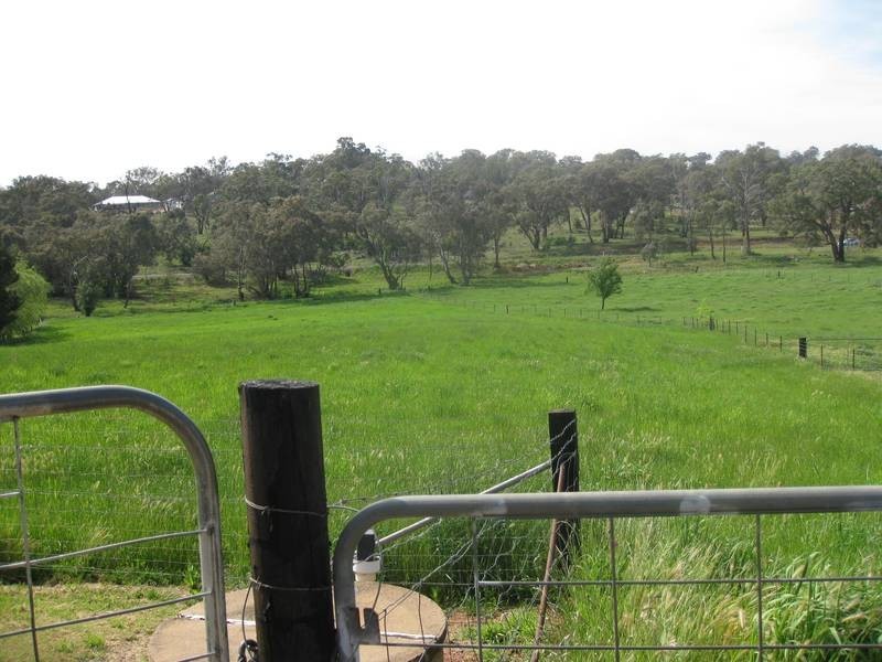 98 Manildra Road, Molong NSW 2866
