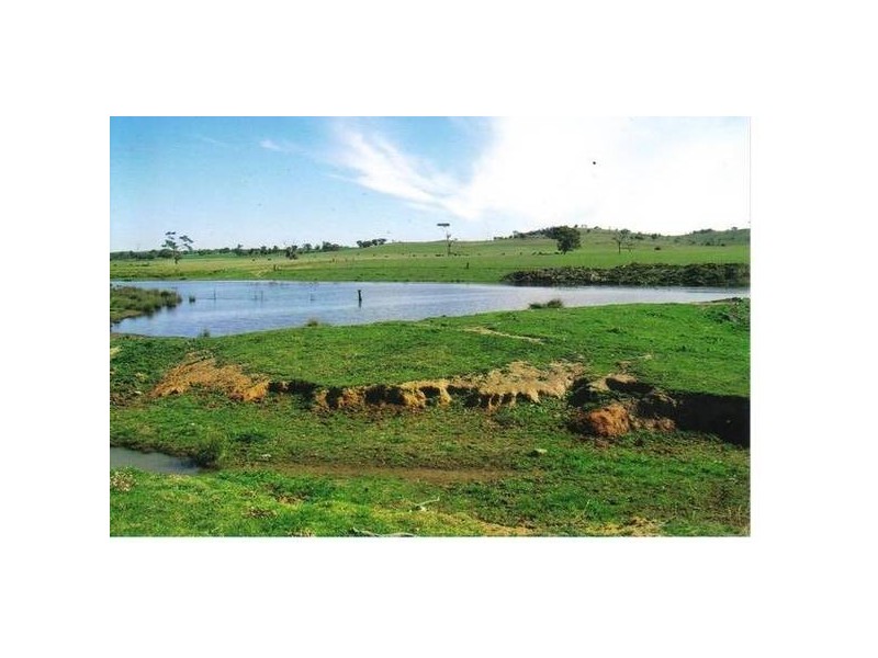 Hazeldene Lane, Molong NSW 2866