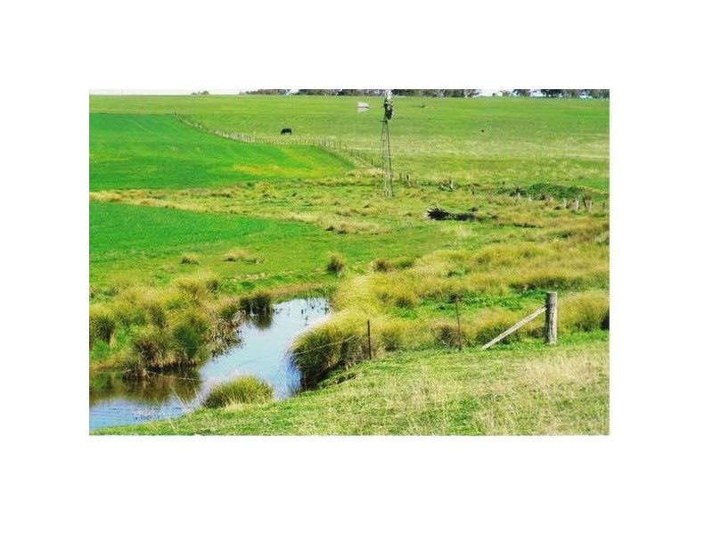 Hazeldene Lane, Molong NSW 2866