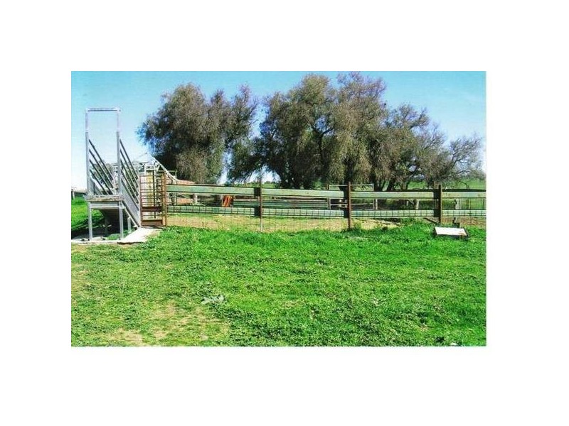 Hazeldene Lane, Molong NSW 2866